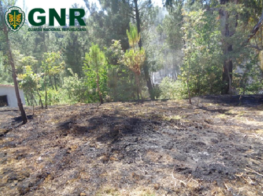 GNR de Vila Real identifica mulher de 69 anos por incêndio florestal