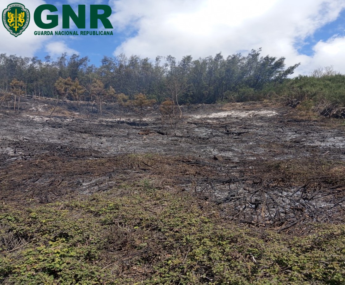 Vila Real Homem de 34 anos detido pela GNR por incêndio florestal